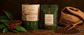 The Journey of Single Estate Coffee: From Bean to Brew