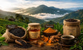 From Mountains to Valleys: Discover Journey for India's Hidden Organic Foods with Pritambara