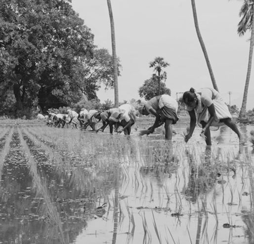 A Journey Across India