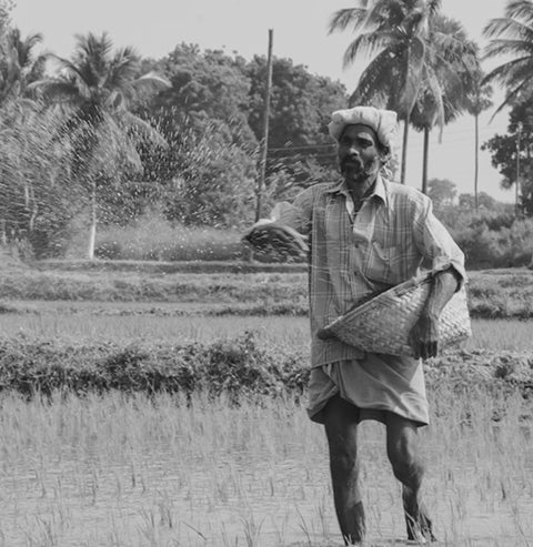 A Journey Across India